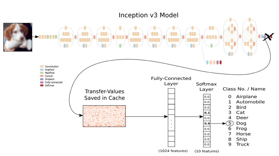 Transfer learning visualization