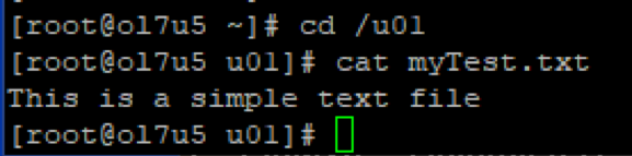 Logical Volume Management - Terminal Output