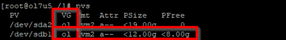 Logical Volume Management - Terminal Output