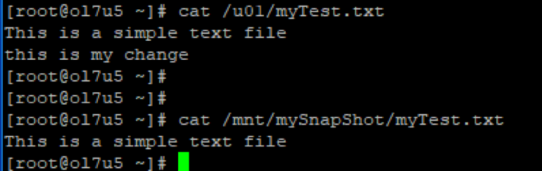 Logical Volume Management - Terminal Output