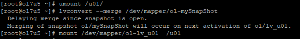 Logical Volume Management - Terminal Output