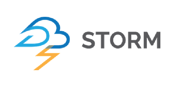 Storm Logo