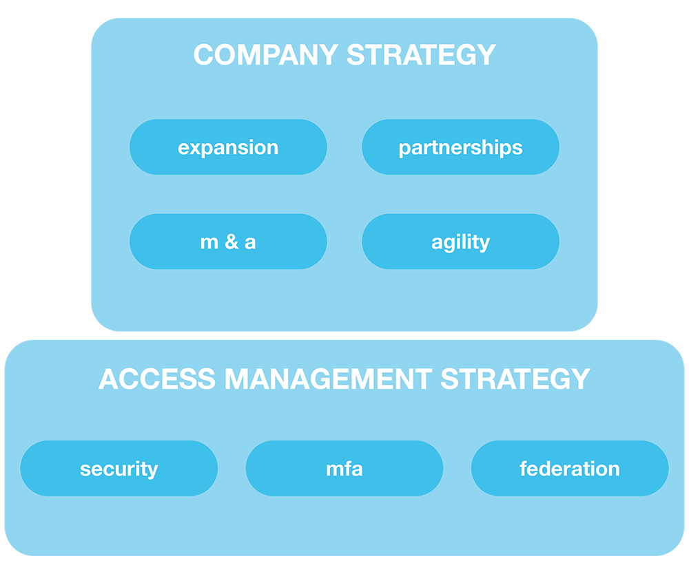 Company strategy and access management strategy