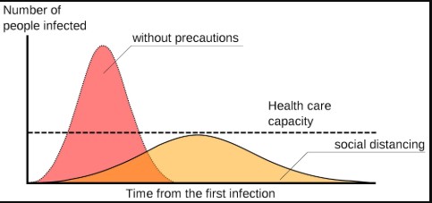 Data literacy, understanding coronavirus flatten the curve model