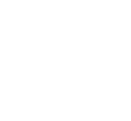 dataicon